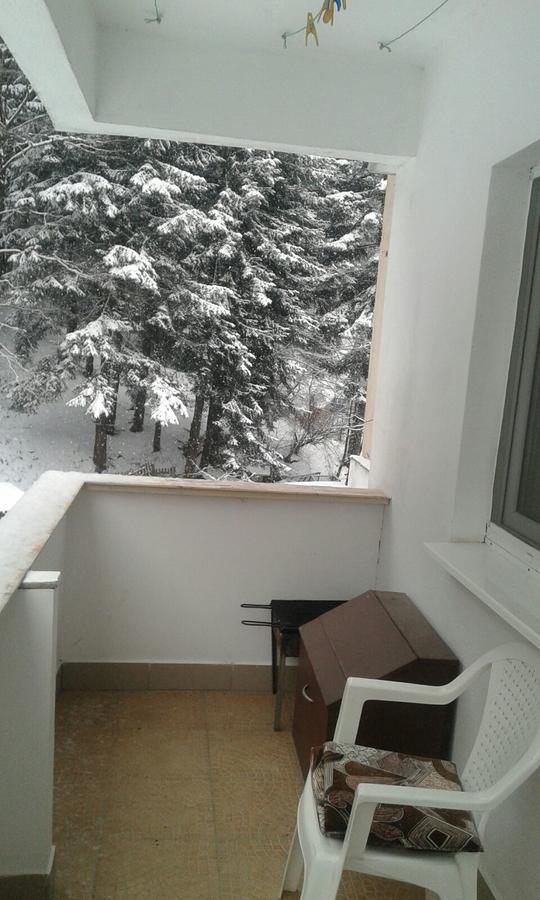 Apartament Nemira Slănic-Moldova Exterior foto
